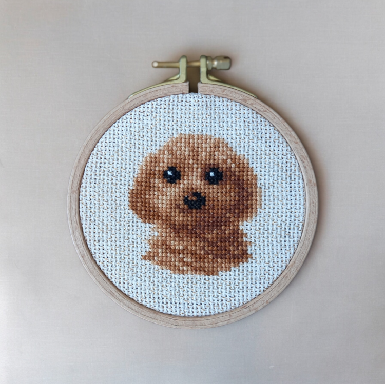 Pet Series No:1 Toy Poodle