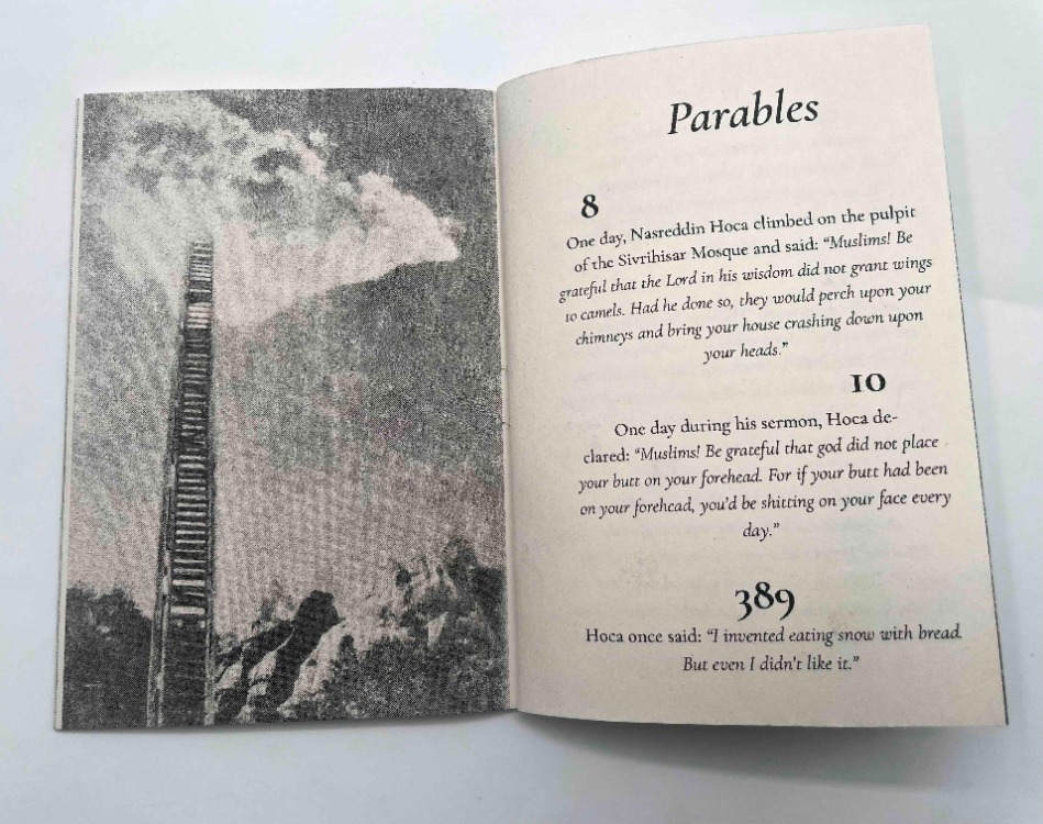 Donkey's Years: The Censored Parables of Nasreddin Hoca (riso edition), Efe Levent