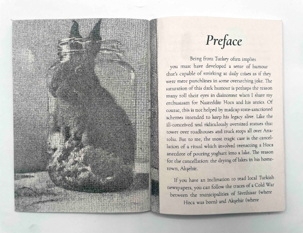 Donkey's Years: The Censored Parables of Nasreddin Hoca (riso edition), Efe Levent