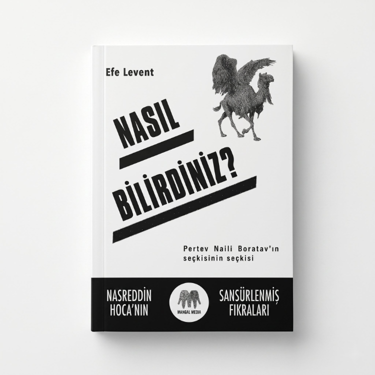Nasıl Bilirdiniz?, Efe Levent (ofset edisyon)