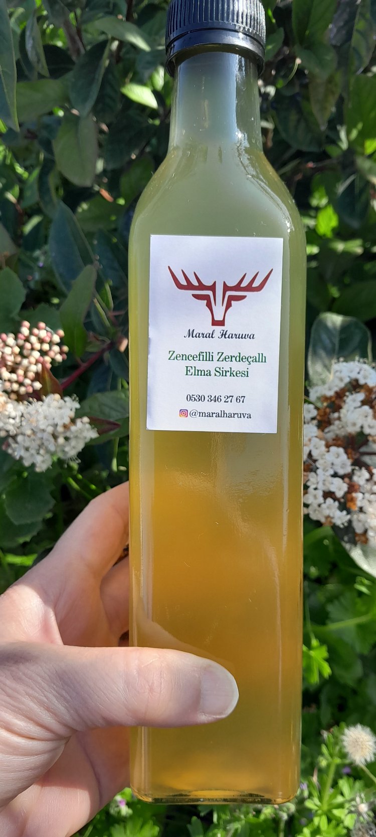 Zencefilli Zerdeçallı Elma Sirkesi