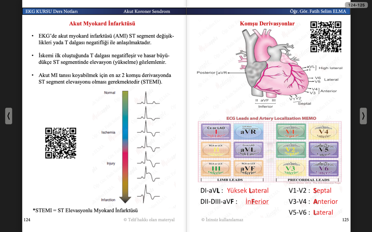 EKG KURSU Ders Notları Cep Kitabı (e-kitap)