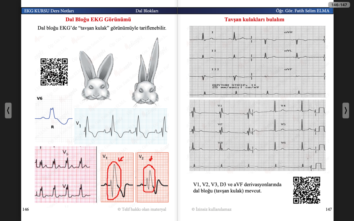 EKG KURSU Ders Notları Cep Kitabı (e-kitap)