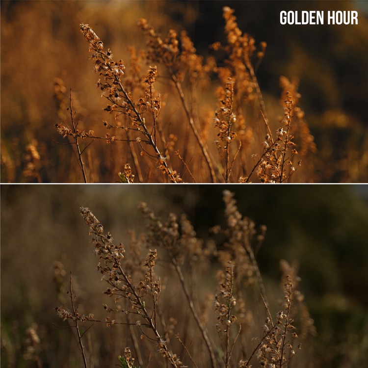 Mehmet Üzüm | Cinematic Luts Pack