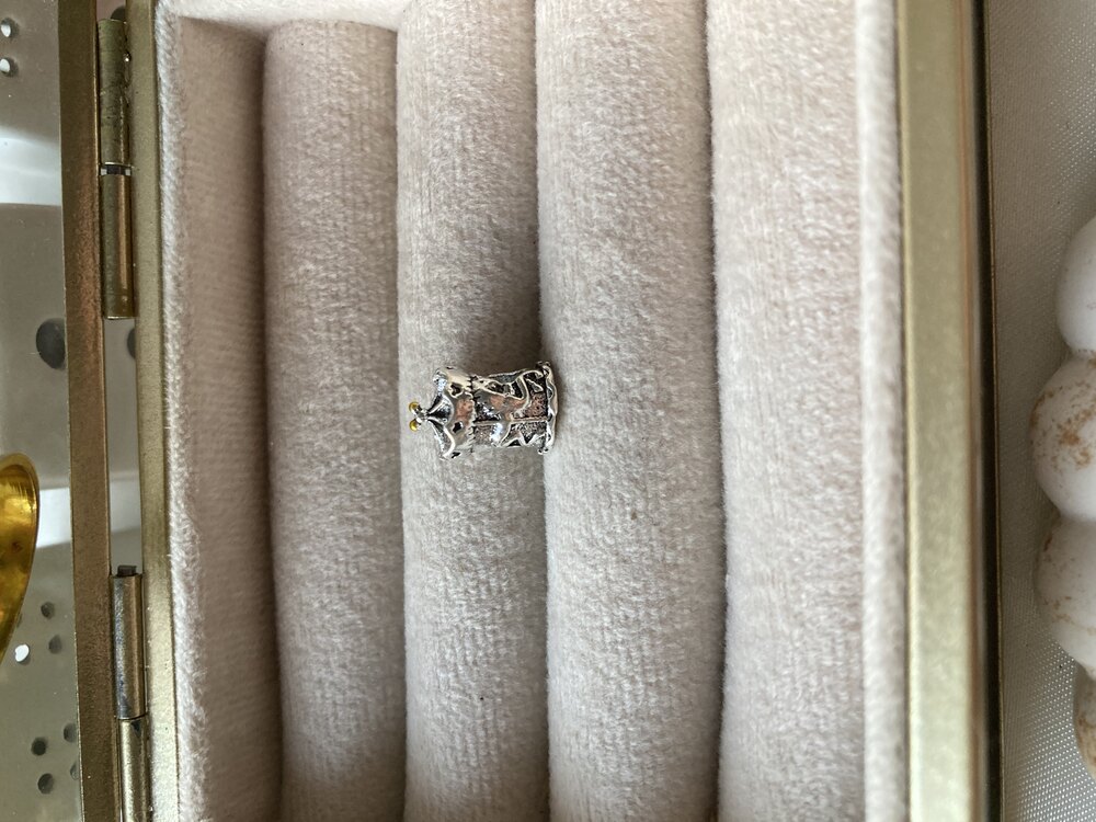 Atlı Karınca Pandora Charm