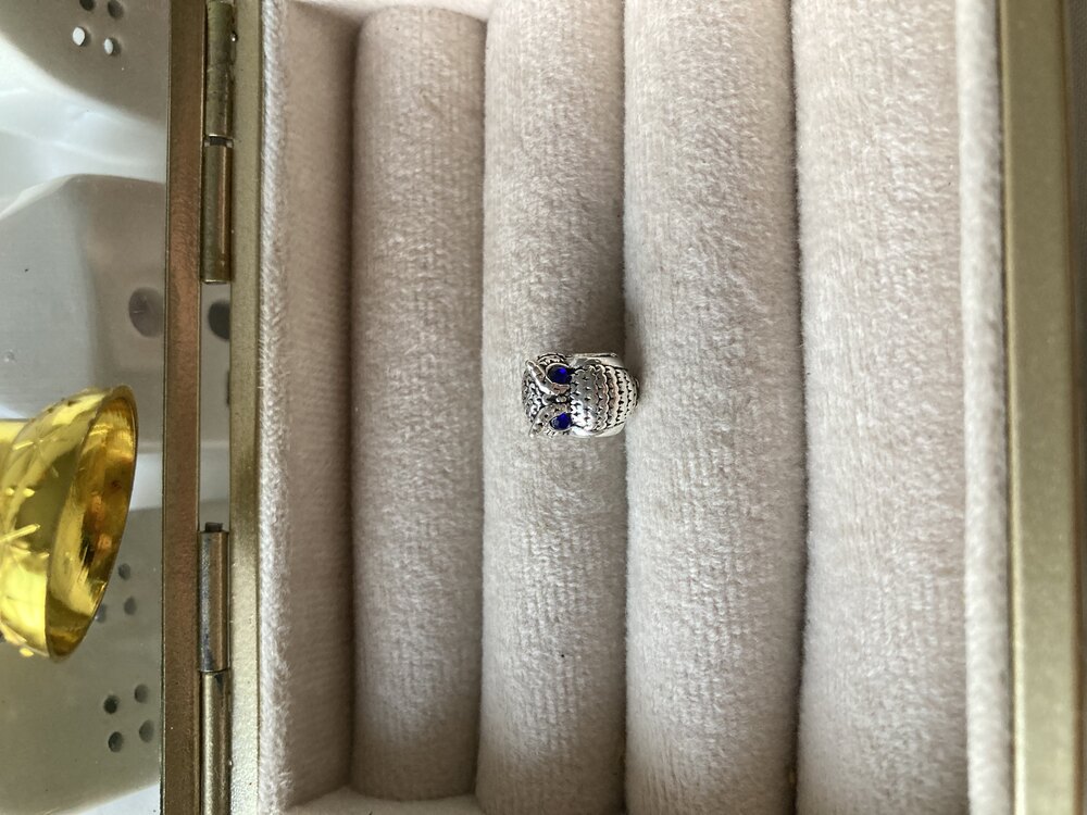 Mavi Taşlı Baykuş Pandora Charm