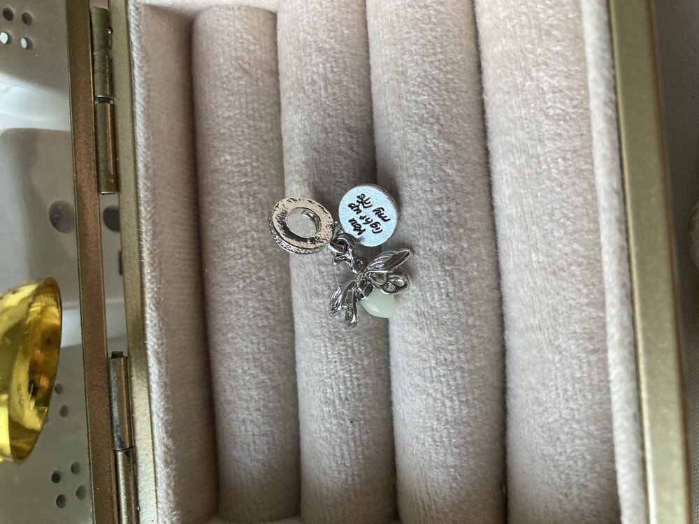 Fosforlu Ateş Böceği Damgalı Pandora Charm