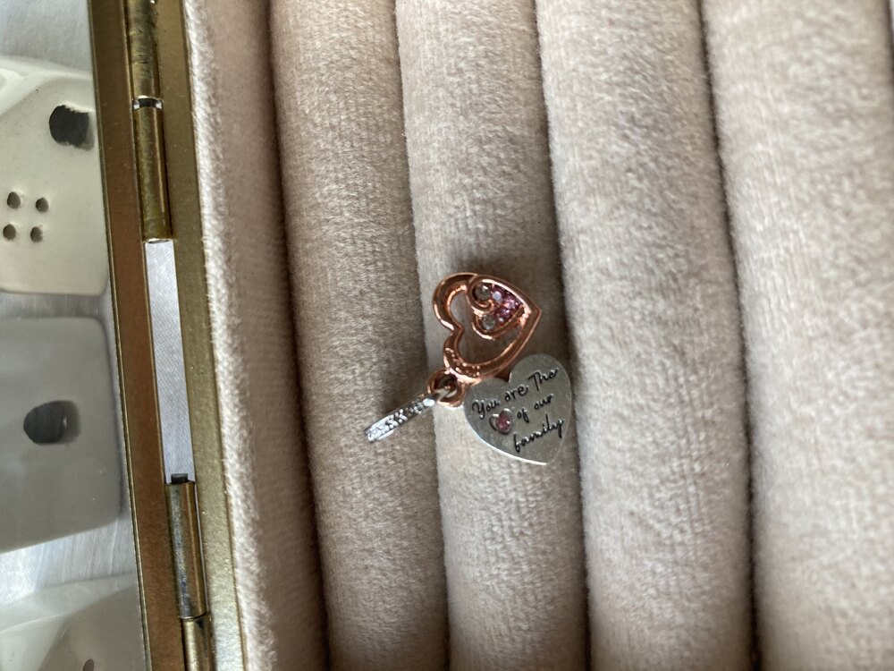 2’li Kalp Pandora Charm