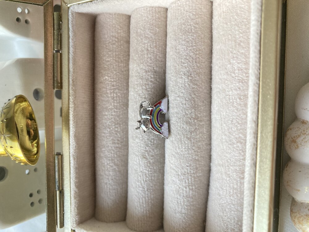 Kedili Gökkuşağı Pandora Charm