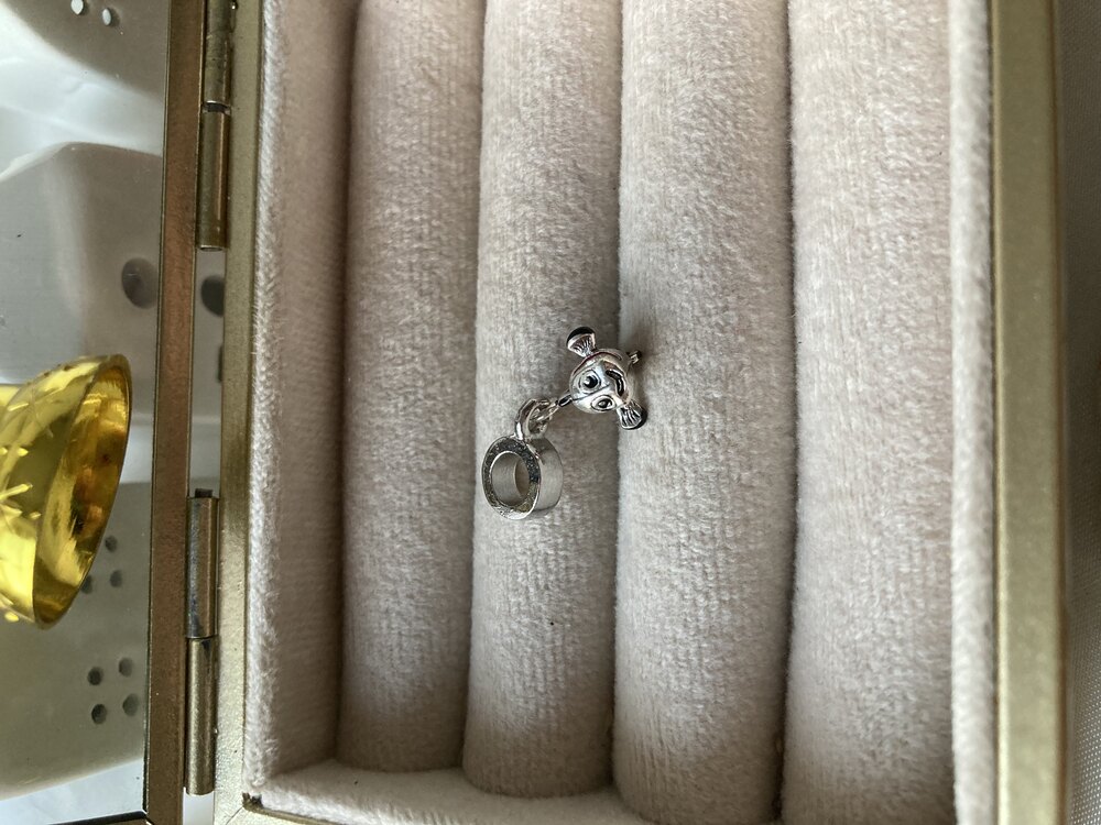 Balık Nemo Pandora Charm