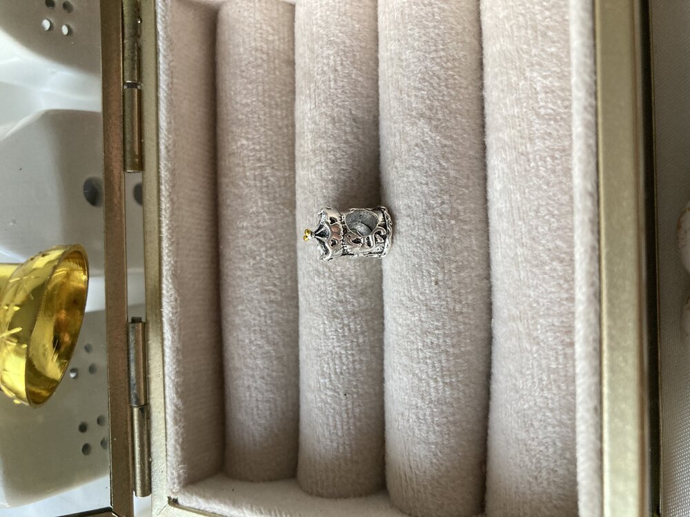 Atlı Karınca Pandora Charm