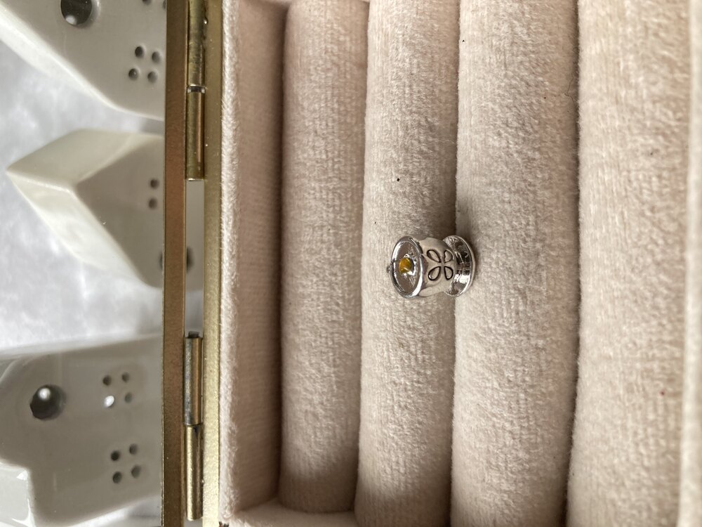 Çiçek Desenli Fincan Pandora Charm