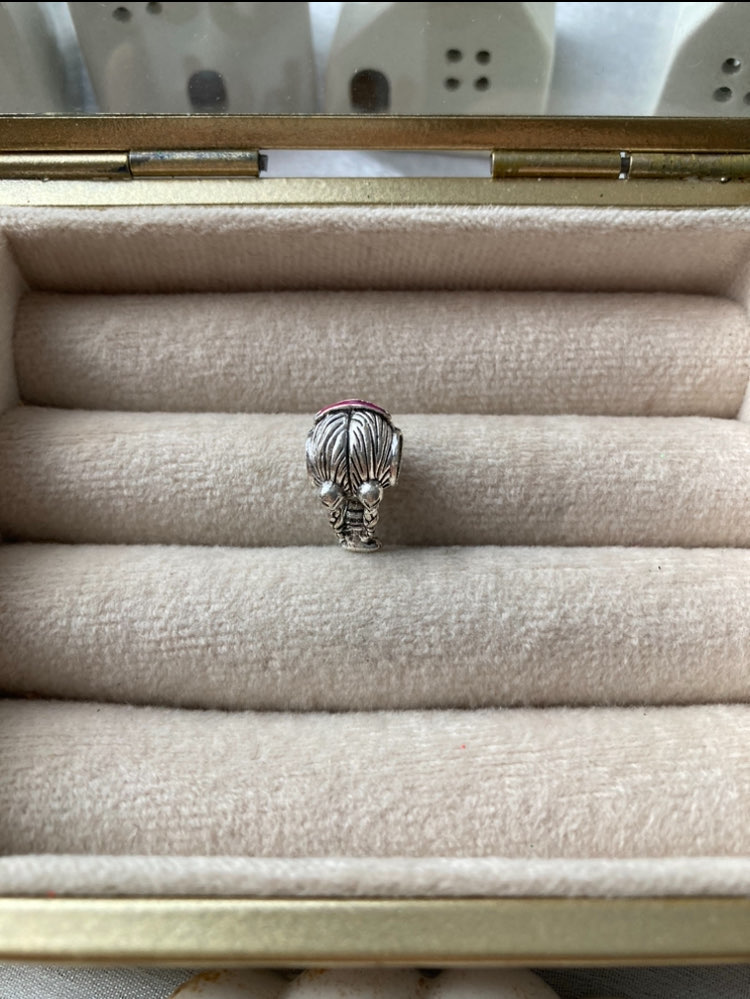 Örgülü Saçlı Kız Pandora Charm