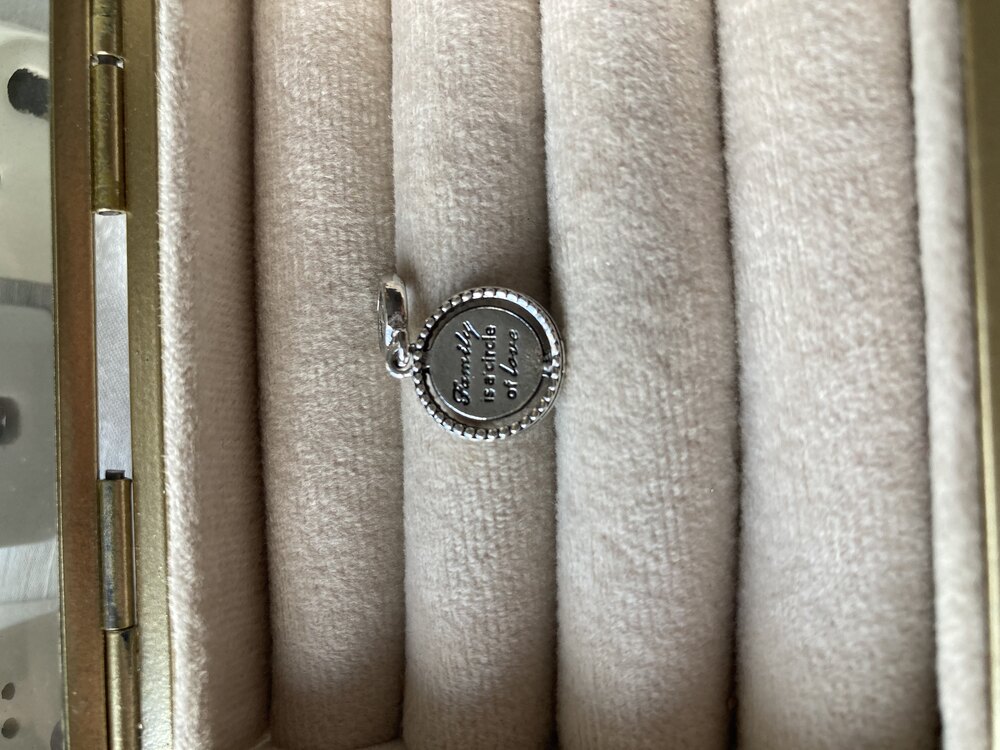 Aile Ağacı Taşlı Pandora Charm