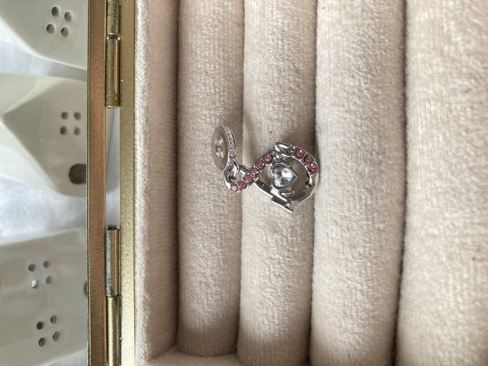Sonsuzluk Mom Pandora Charm