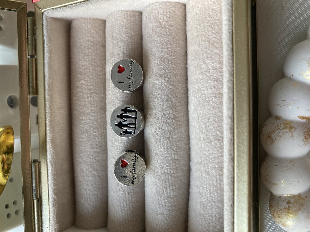 Love My Family Pandora Charm