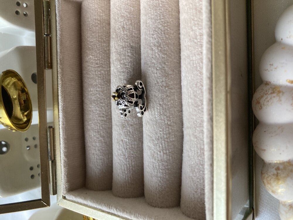 Fayton Pandora Charm
