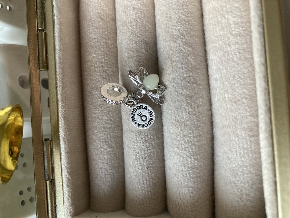 Fosforlu Ateş Böceği Damgalı Pandora Charm