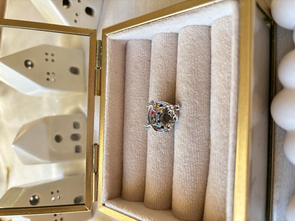 Zincirli Gökkuşağı Pandora Charm