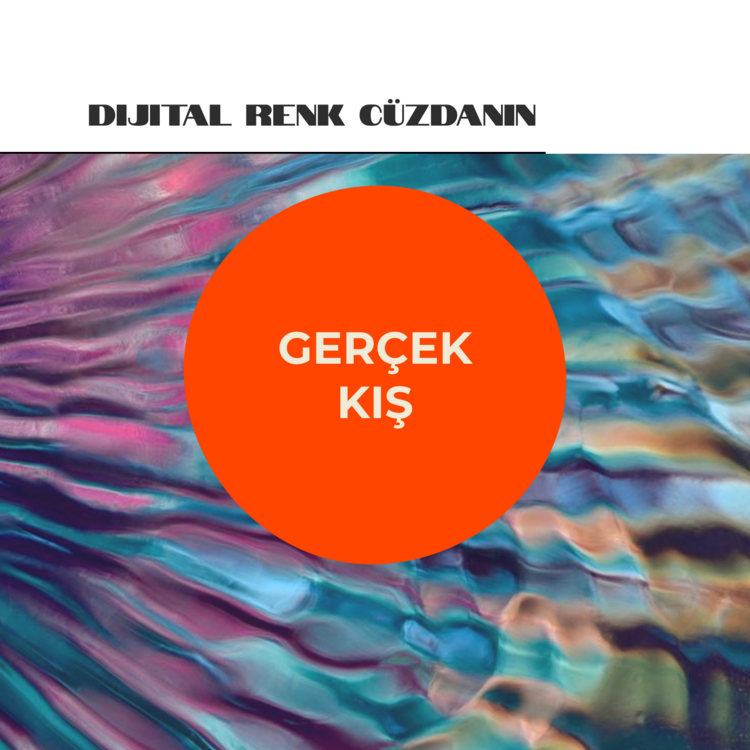 Gerçek Kış - Dijital Renk Cüzdanı