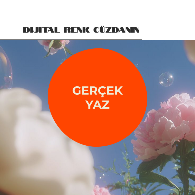 Gerçek Yaz - Dijital Renk Cüzdanı