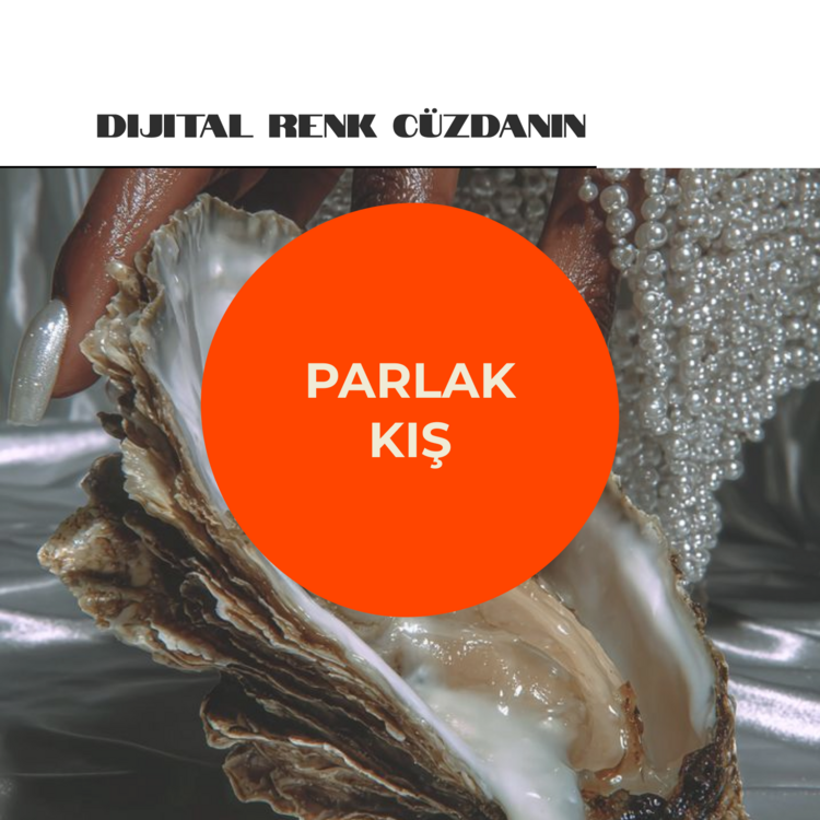 Parlak Kış - Dijital Renk Cüzdanı