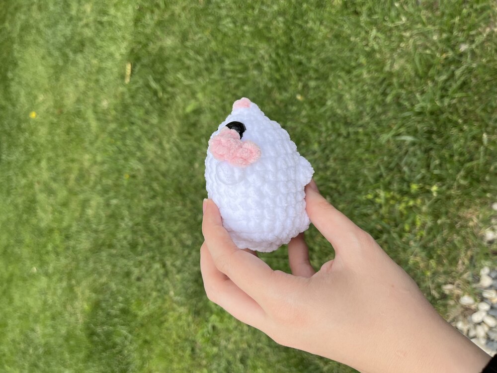 Beyaz hamster