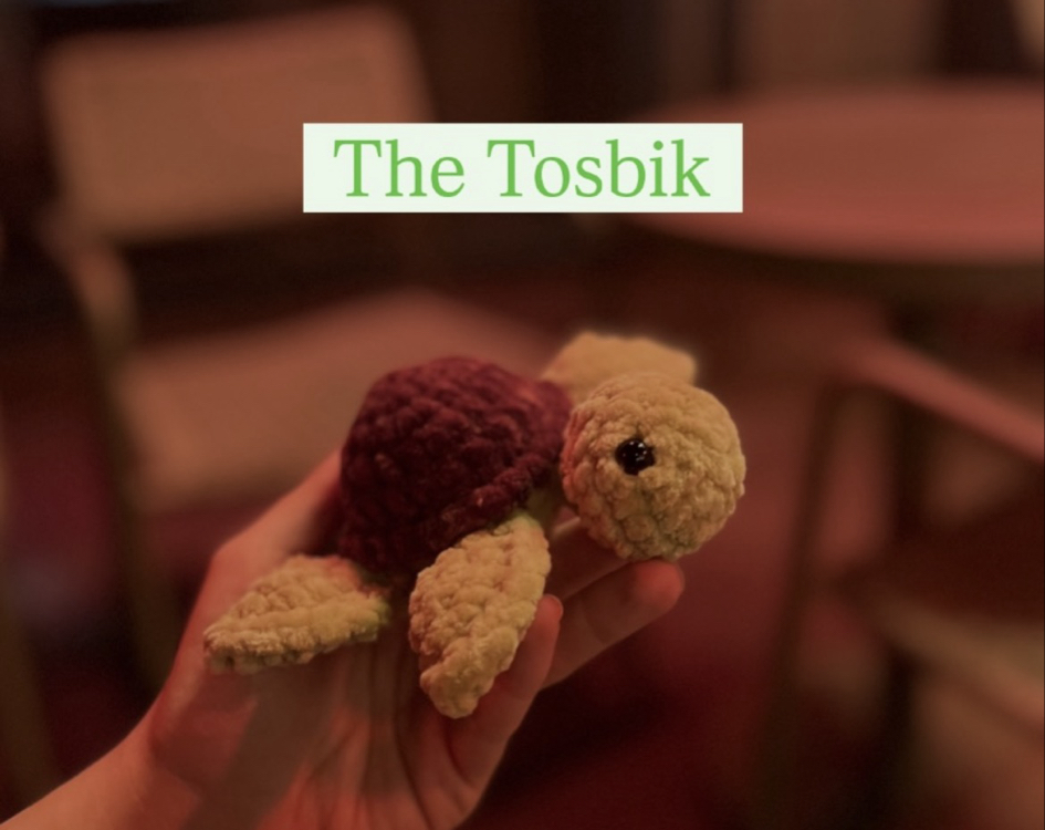 Tosbik kaplumbağa 