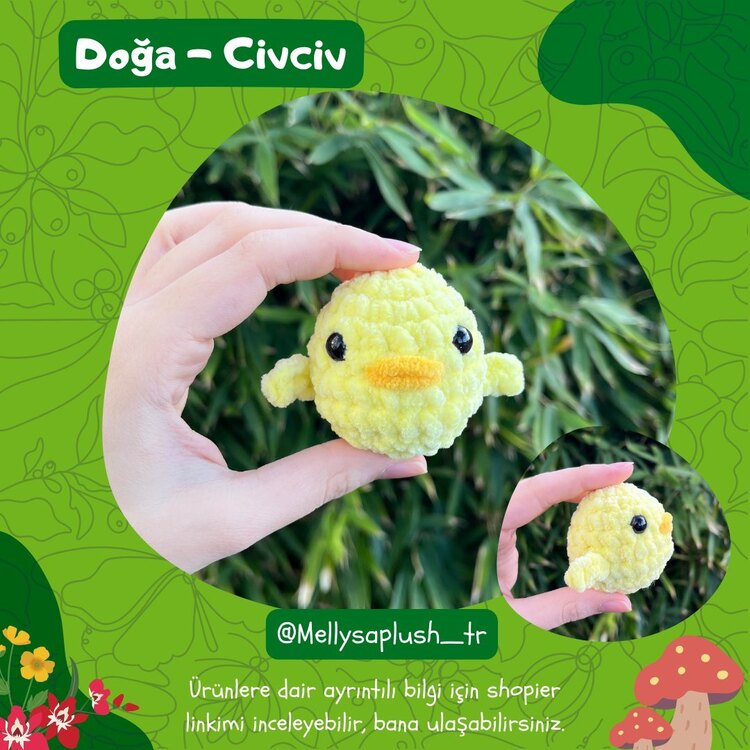 Civciv - Doğa