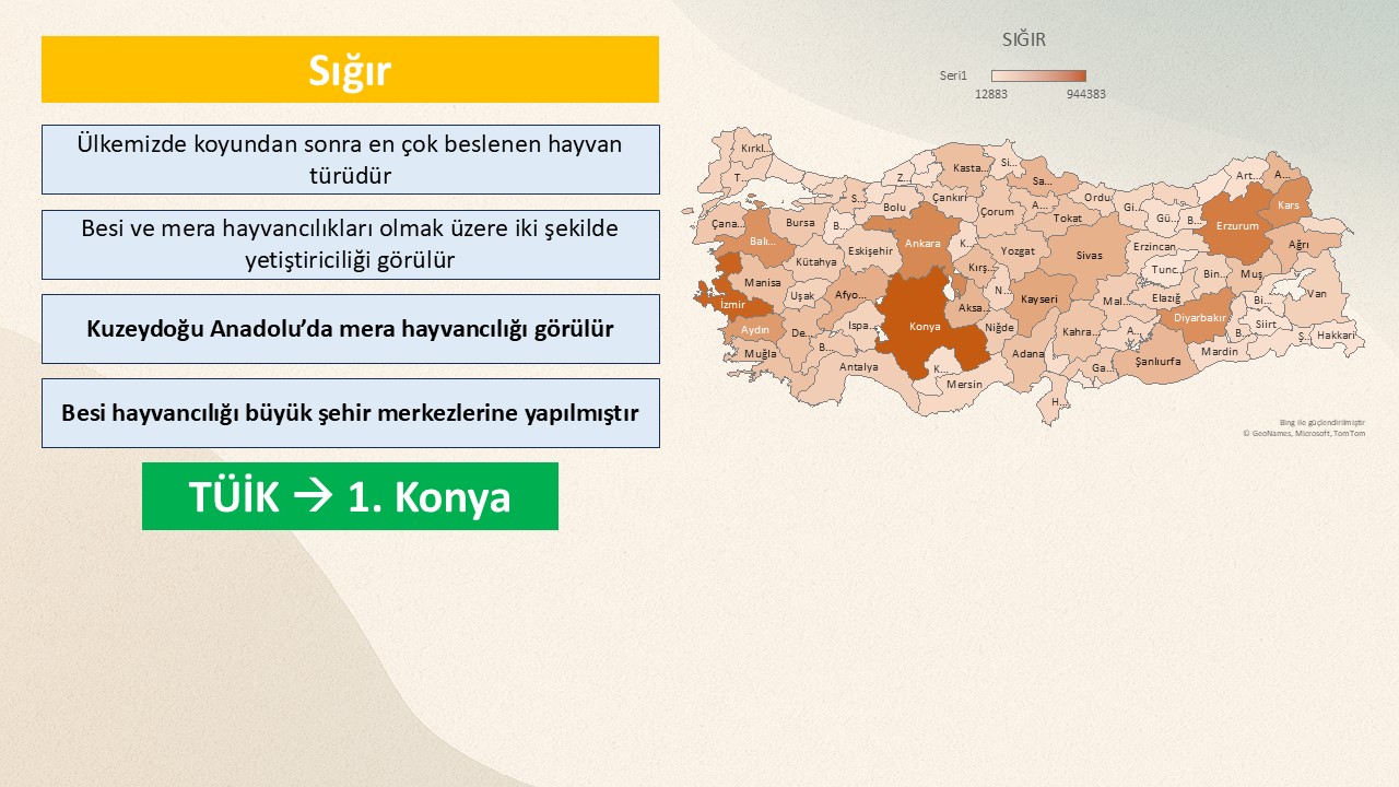 2026 KPSS-AGS COĞRAFYA NOTLARI + SORU BANKASI 