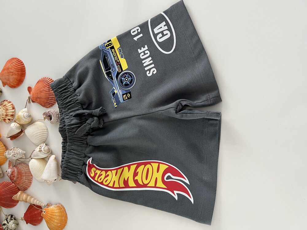 HOT WHEELS DESENLİ ŞORTLU TAKIM