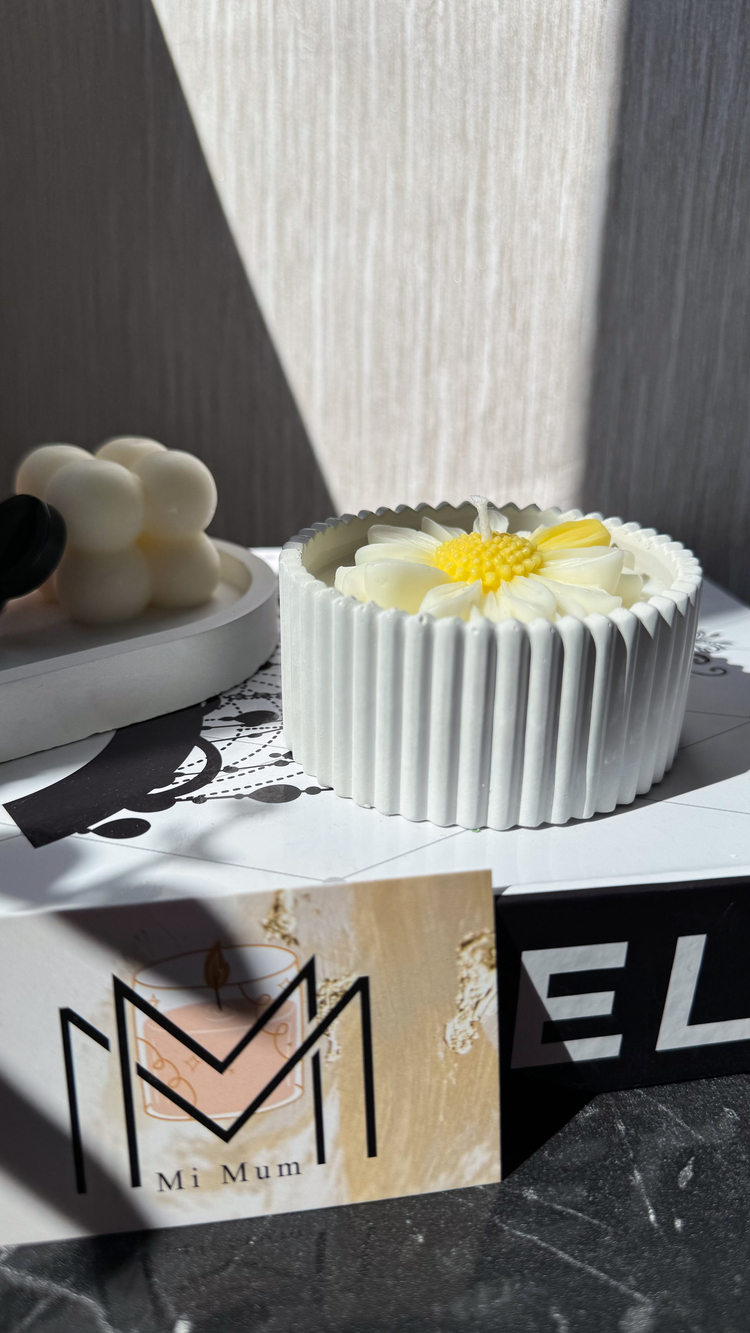Taştozu papatyalı soya mumu