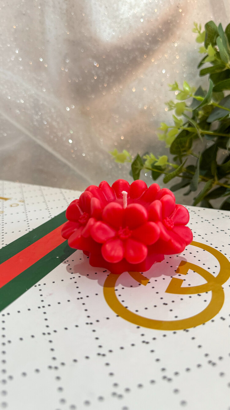 DOĞAL SOYA WAX MUMU