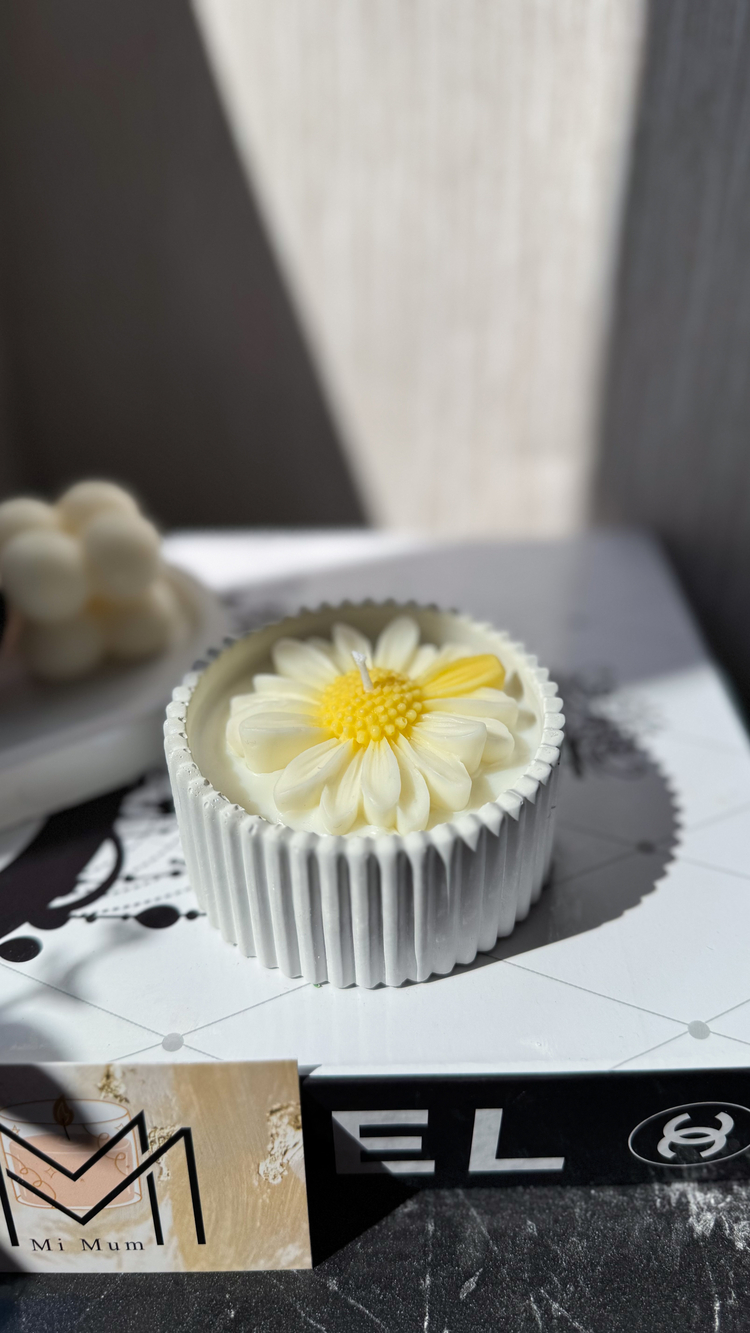 Taştozu papatyalı soya mumu