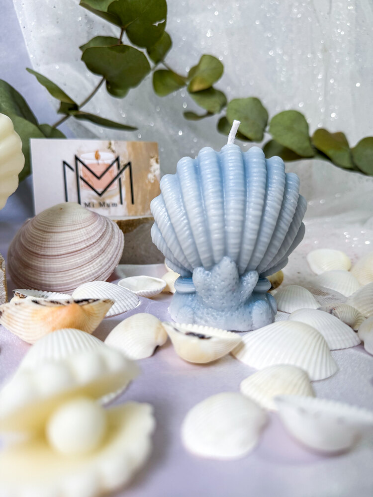 Dekoratif İstiridye mum