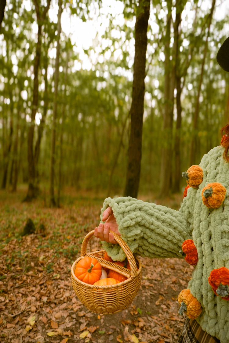 Bal kabağı Hırka | Pumpkin Harvest Capsule