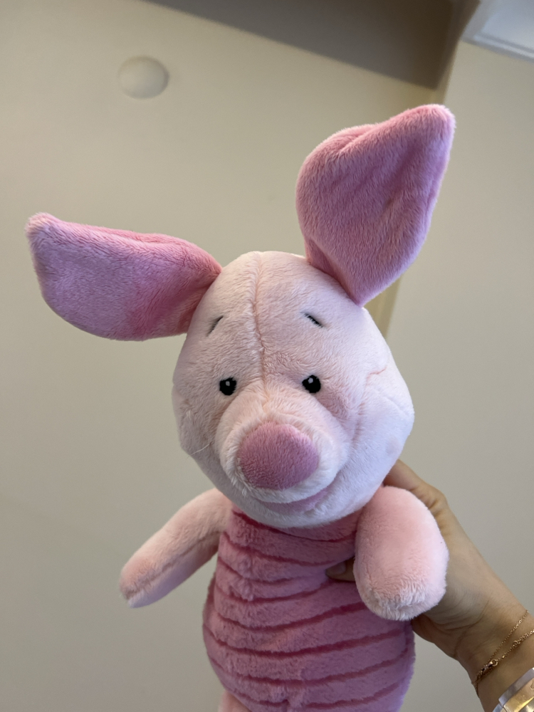 Piglet Peluş 
