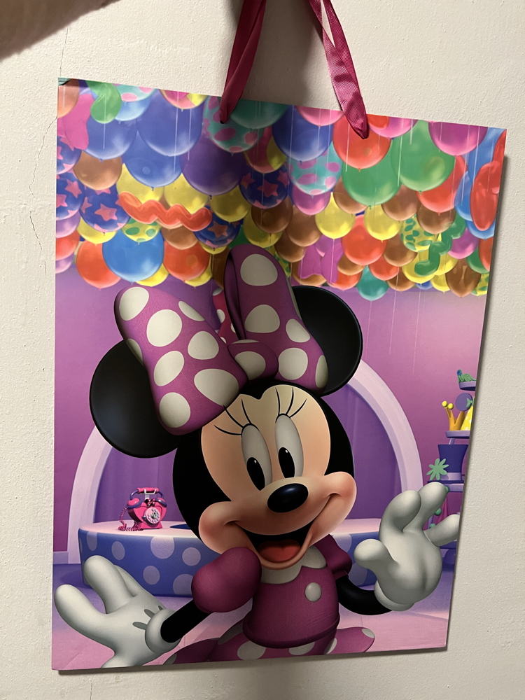 Minnie Mouse Hediye Poşeti