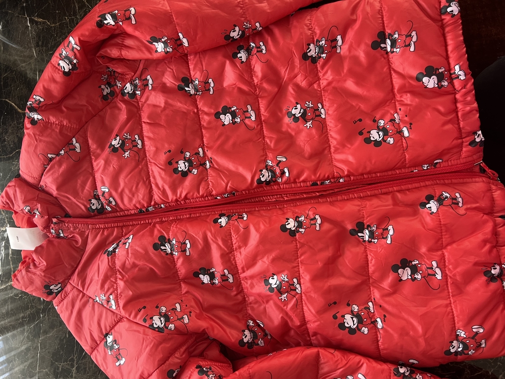 Mickey Mouse Mont