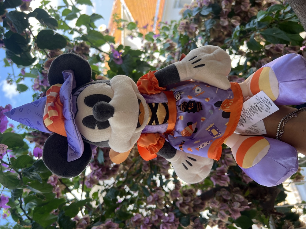 Halloween 2020 Minnie Mouse