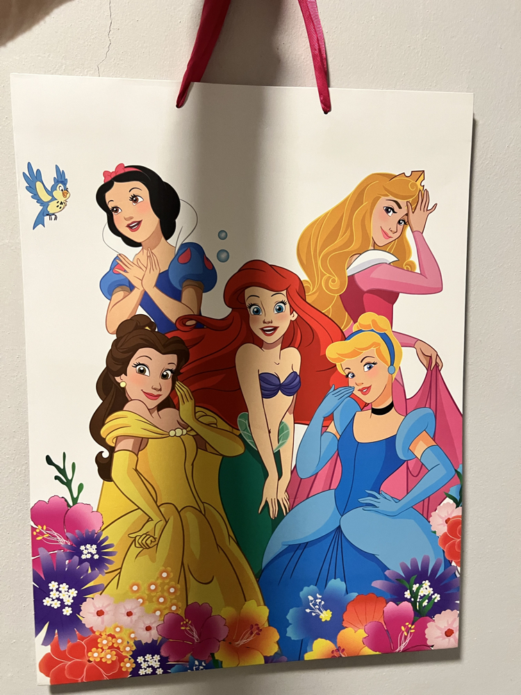 Disney Prensesler Hediye Poşeti
