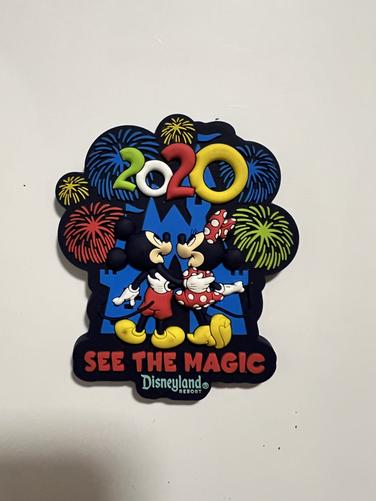 2020 Disney Magnet