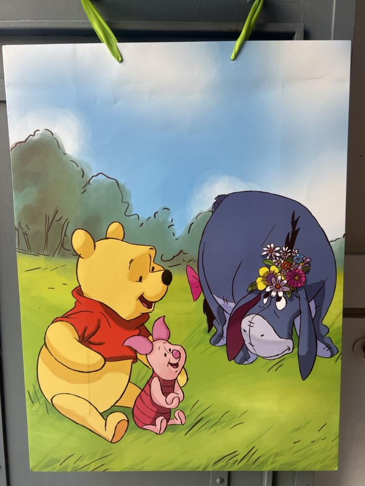 Winnie ve Eeyore Hediye Poşeti