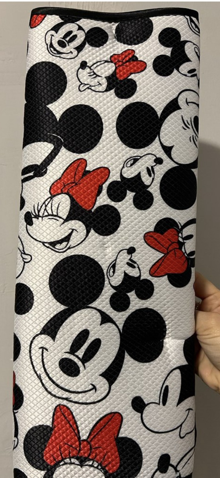 Mickey Mouse Bulaşık Matı