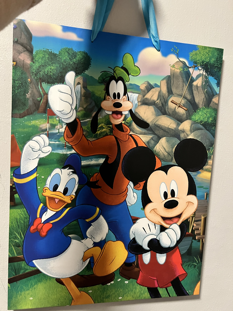 Mickey and Friends Hediye Poşeti