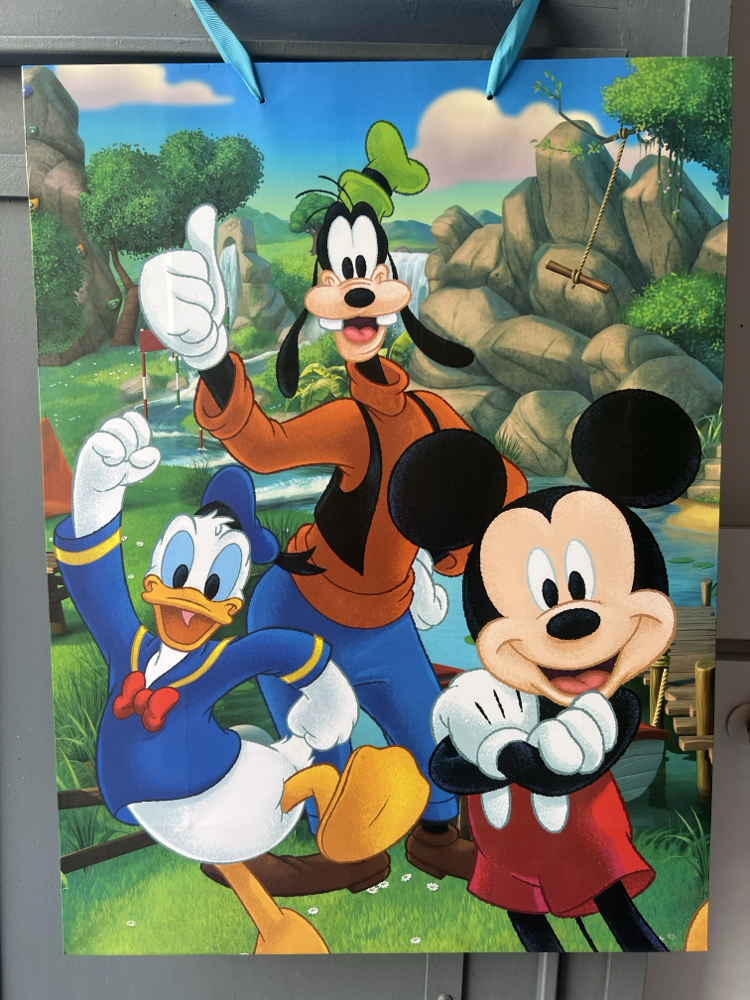 Mickey and Friends Hediye Poşeti