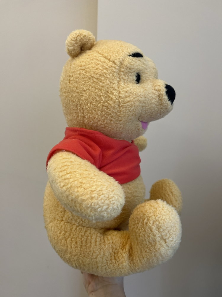 Winnie The Pooh Peluş 