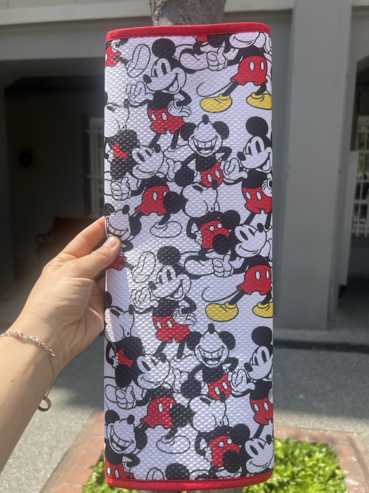 Mickey Mouse Bulaşık Matı
