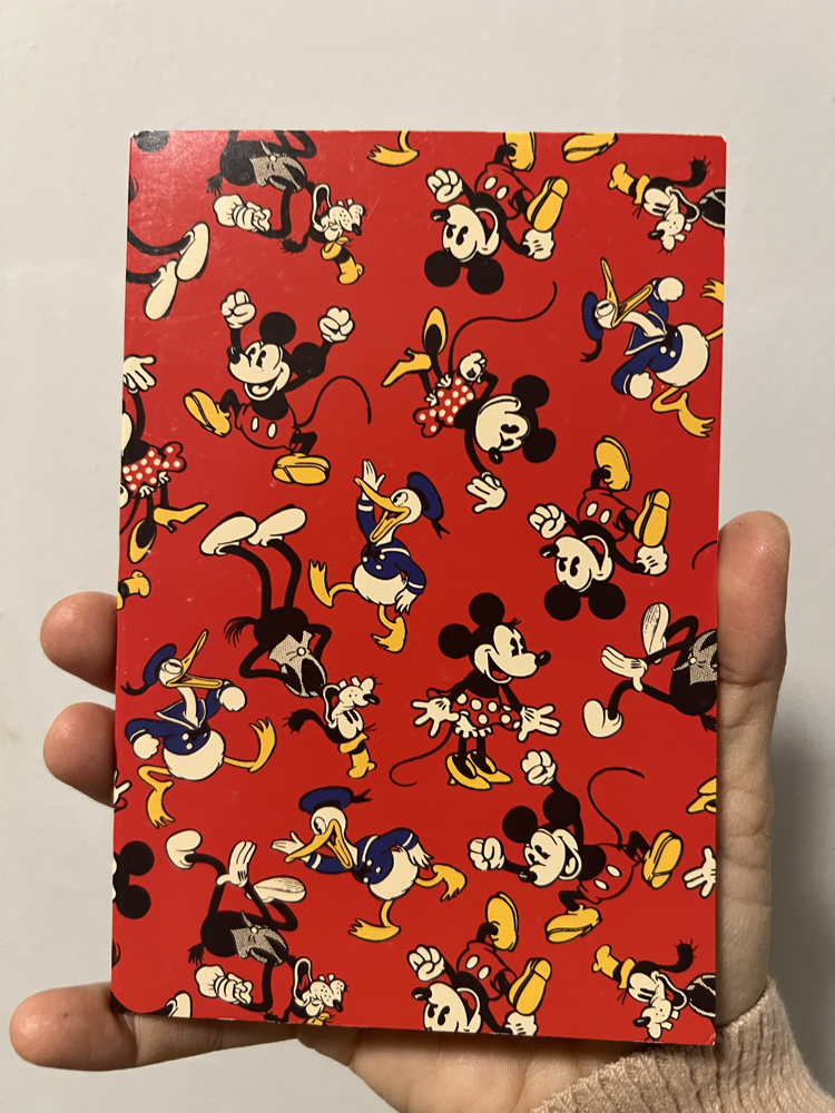 Macys Disney Not Defteri