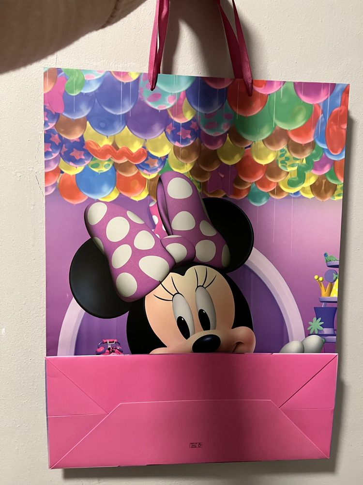 Minnie Mouse Hediye Poşeti
